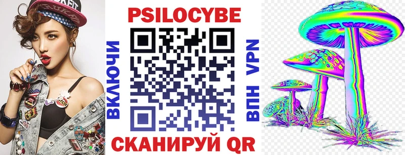 где продают   Красный Холм  Галлюциногенные грибы MAGIC MUSHROOMS 