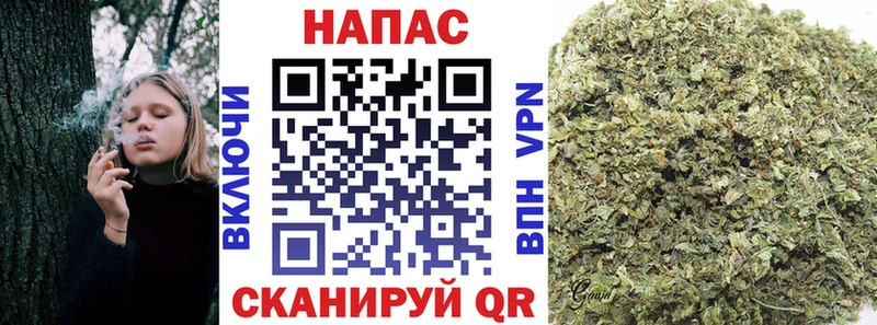 Бошки марихуана гибрид Красный Холм